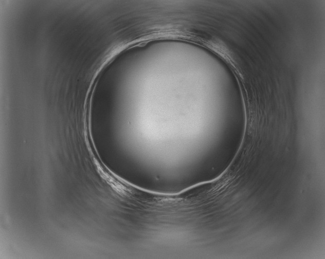 X0000062801439200512290237