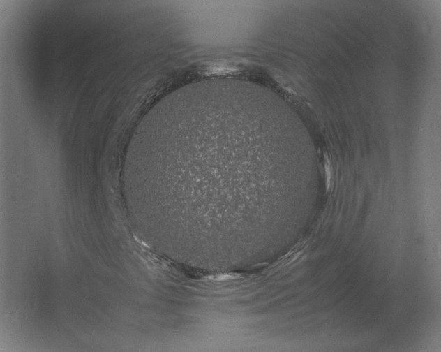 X0000062801441200512290236