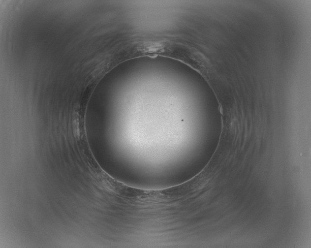 X0000062801442200512290236