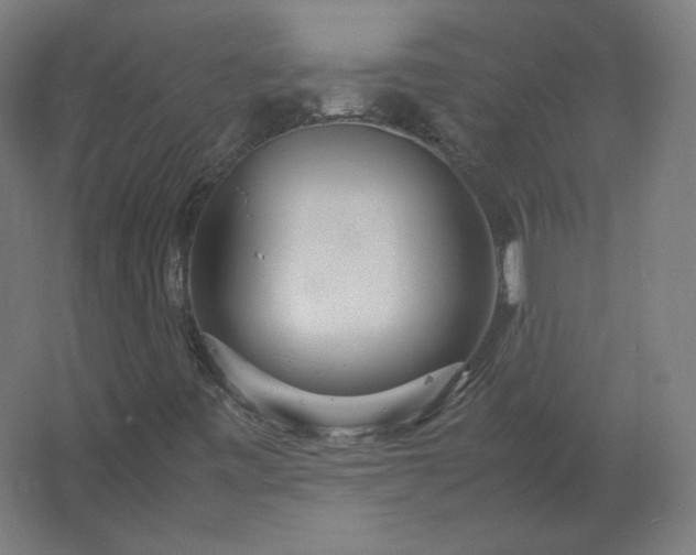 X0000062801443200512290236