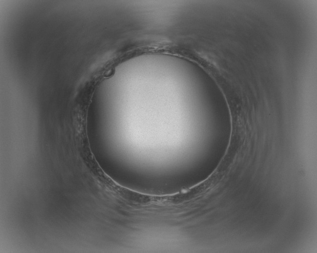 X0000062801447200512290236