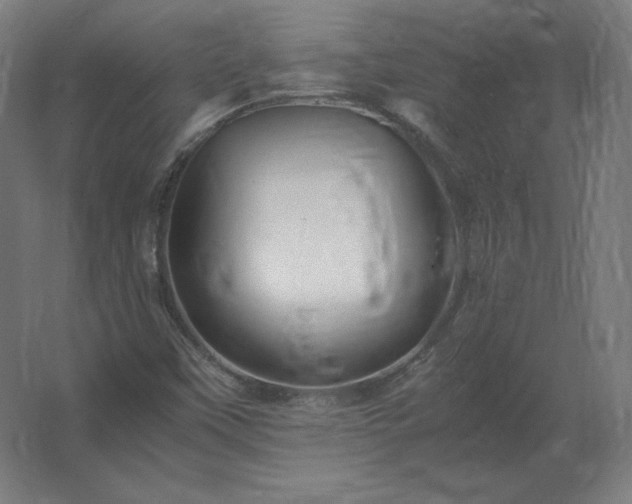X0000062801451200512290236