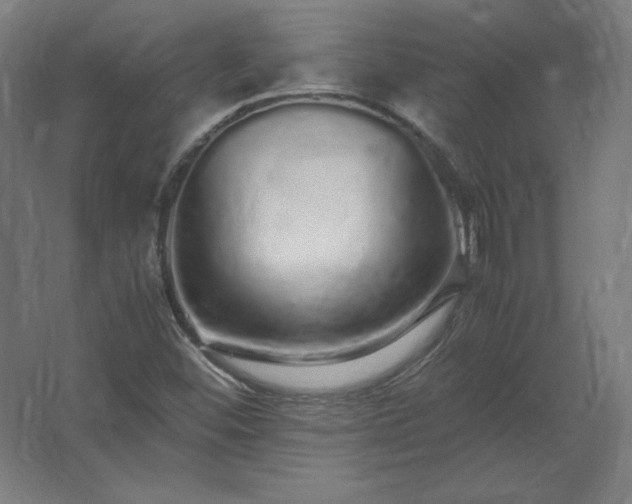 X0000062801452200512290236