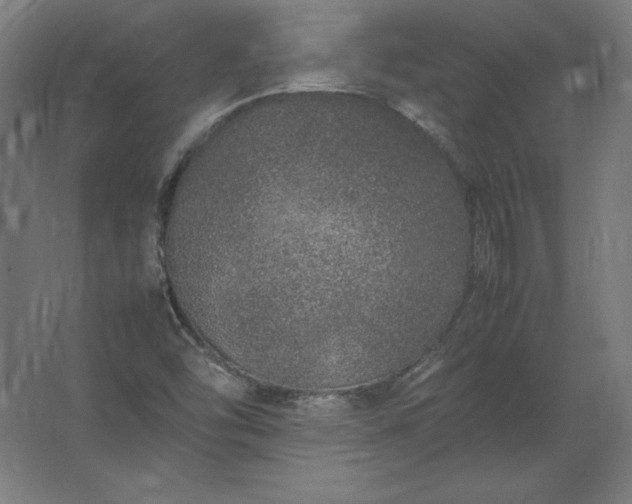 X0000062801454200512290236