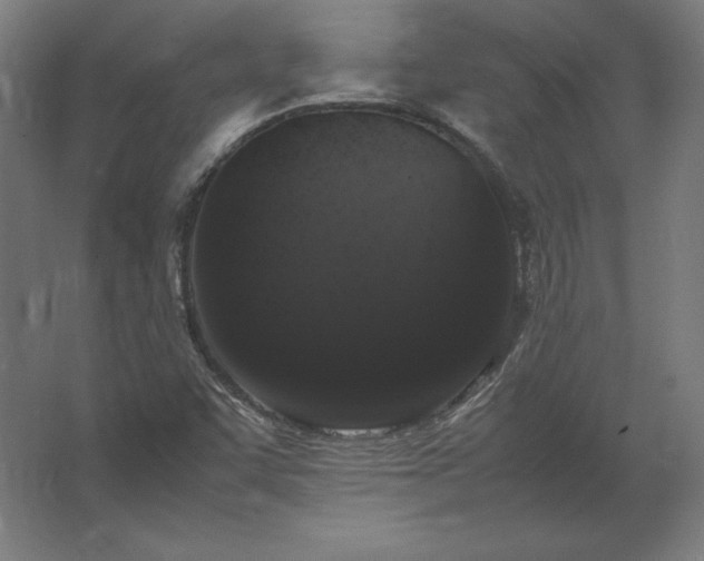 X0000062801455200512290236