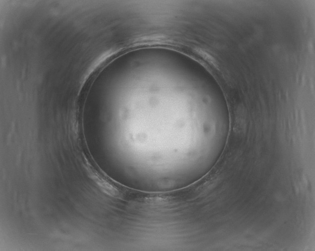 X0000062801458200512290236