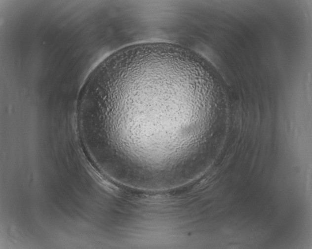 X0000062801460200512290236