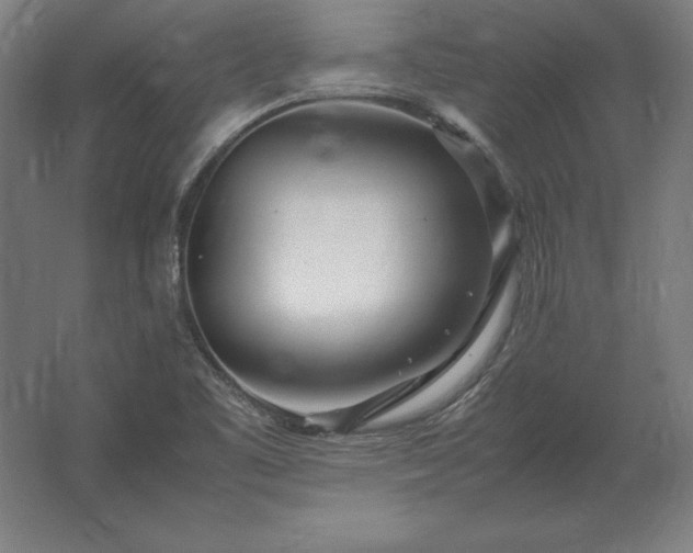X0000062801461200512290236