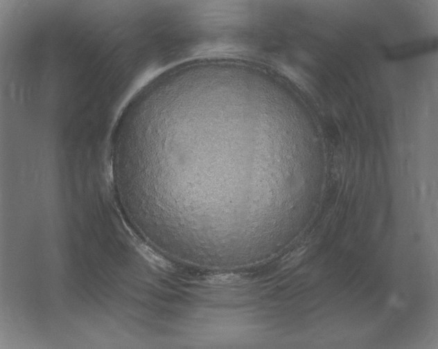 X0000062801462200512290236