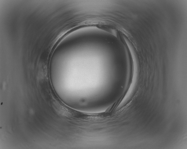 X0000062801465200512290236