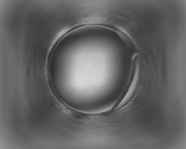 X0000062801469200512290236