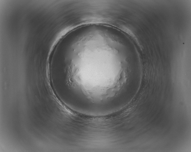 X0000062801472200512290236