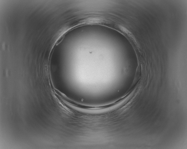 X0000062801473200512290236