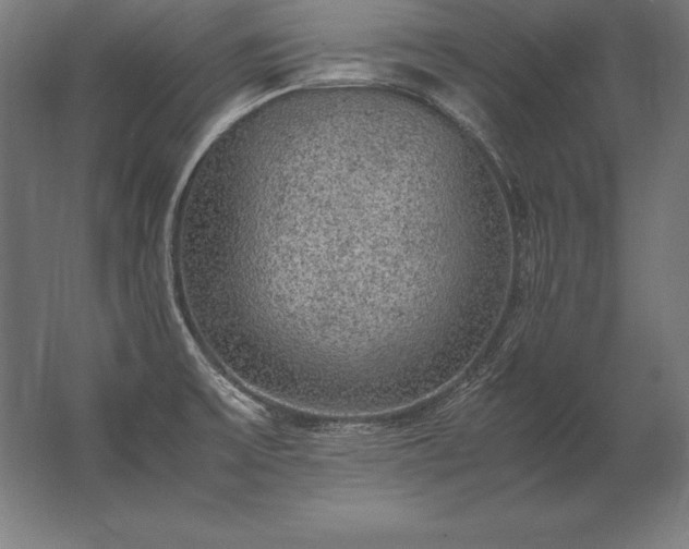 X0000062801475200512290236