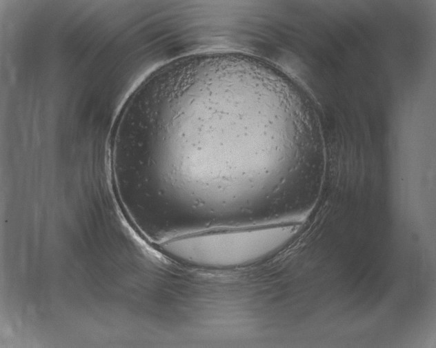 X0000062801476200512290236