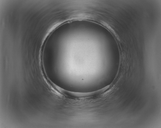 X0000062801477200512290236