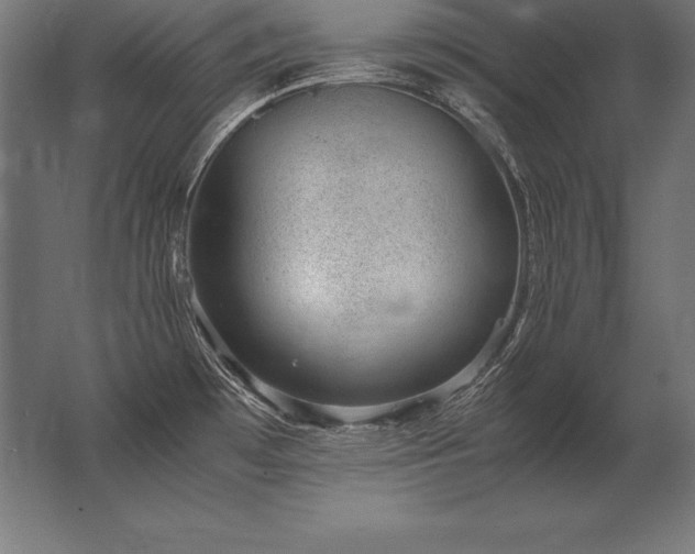 X0000062801481200512290235