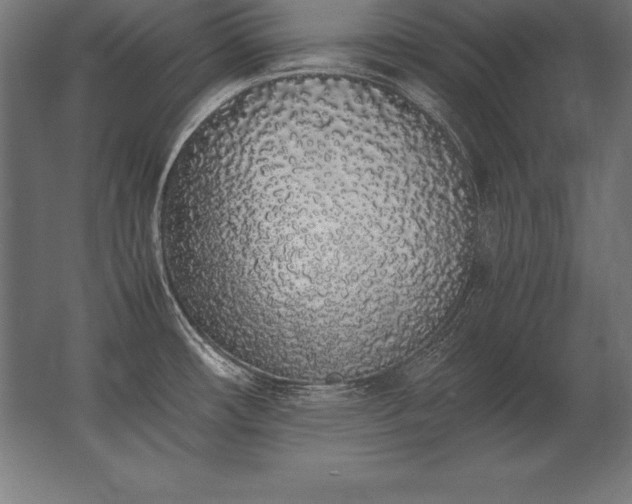 X0000062801482200512290235