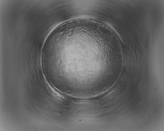 X0000062801484200512290235