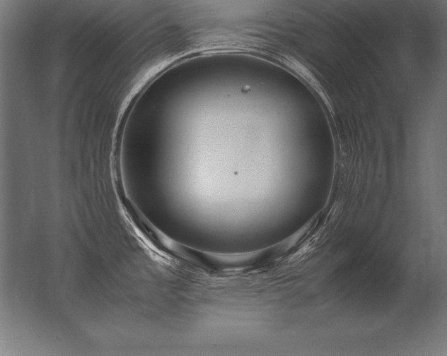 X0000062801485200512290235