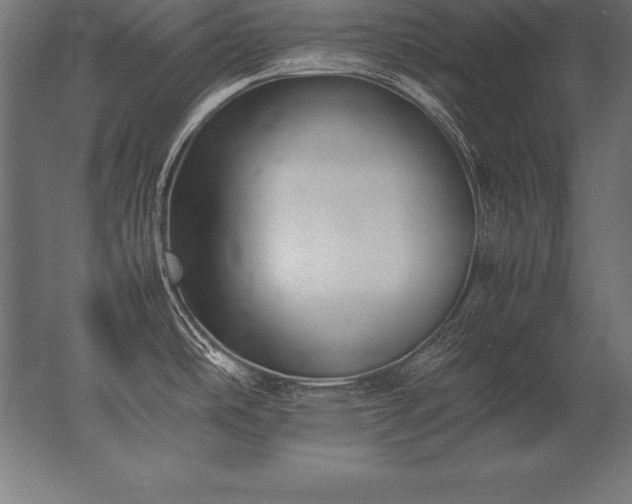 X0000062801486200512290235