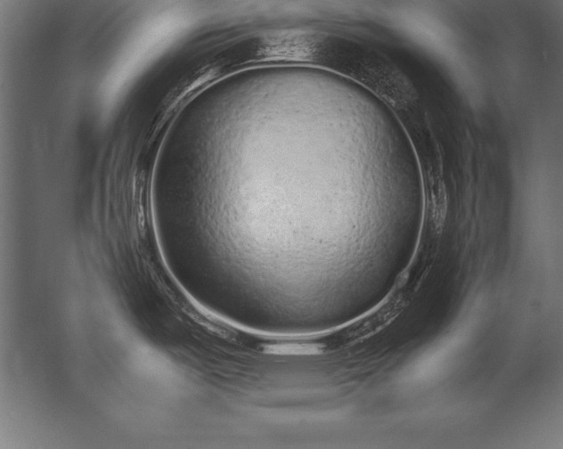 X0000062801487200512290235