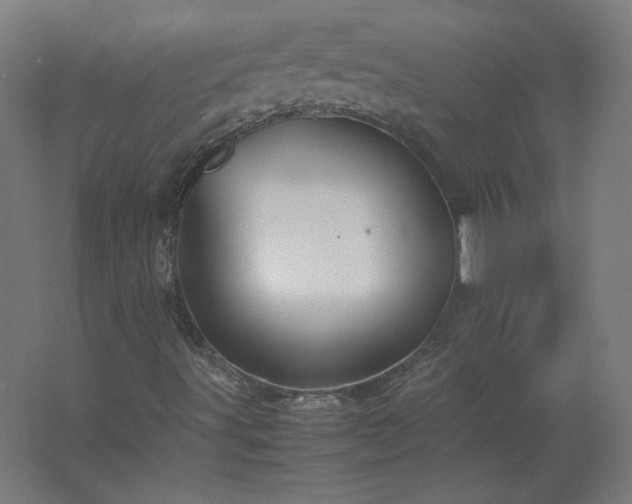 X0000062801491200512290235