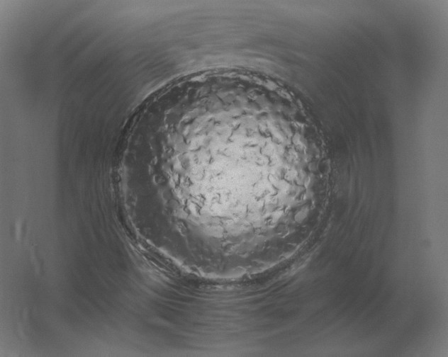 X0000062801497200512290235