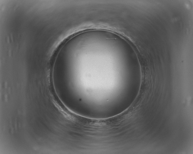 X0000062801503200512290235