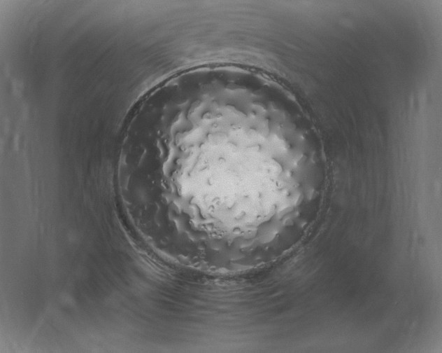 X0000062801505200512290235