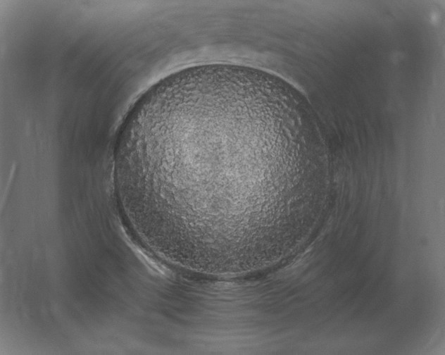 X0000062801507200512290235