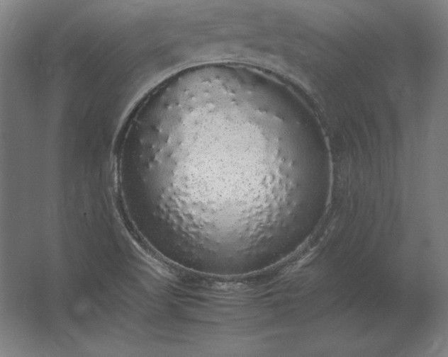 X0000062801509200512290235