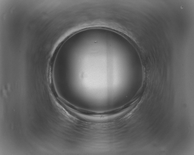 X0000062801510200512290235