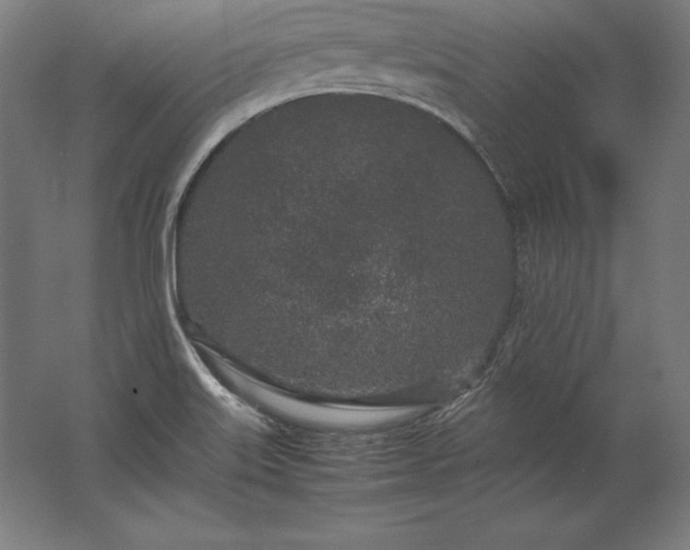 X0000062801515200512290235