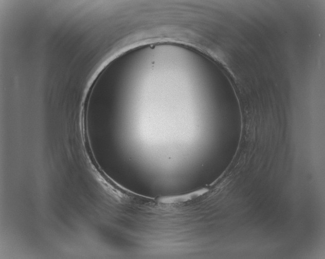 X0000062801516200512290235