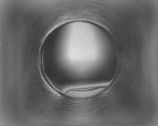 X0000062801518200512290235