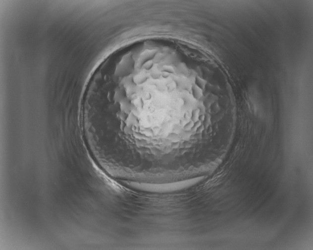 X0000062801527200512290235