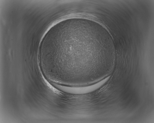 X0000062801531200512290235