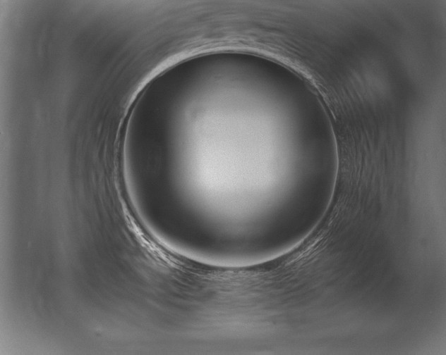 X0000062801534200512290235