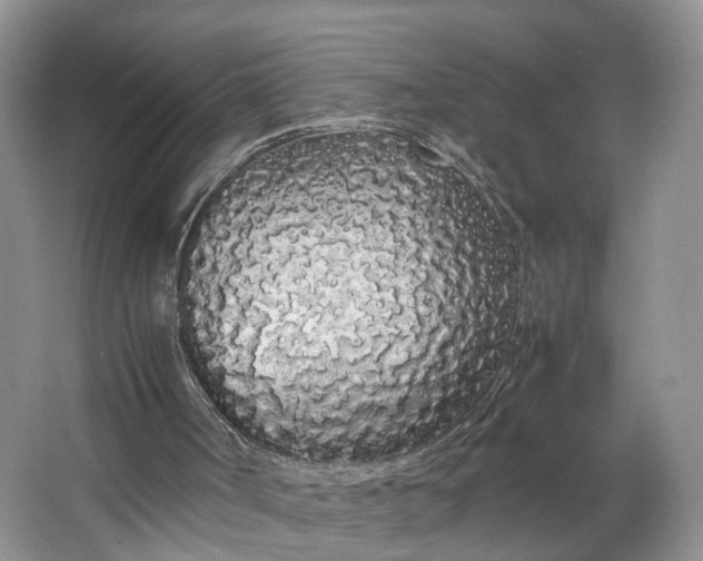X0000062800002200601051124