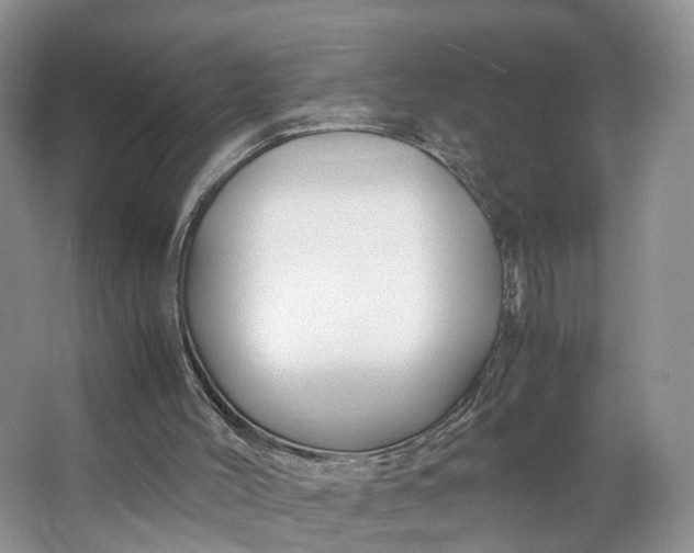 X0000062800004200601051124