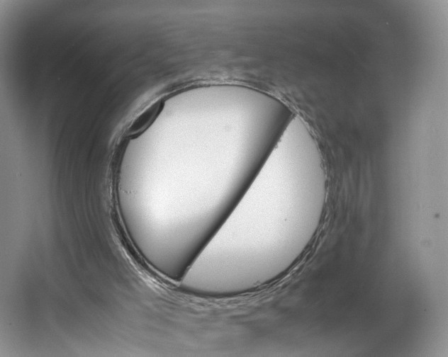 X0000062800005200601051124