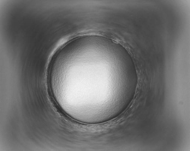 X0000062800006200601051124