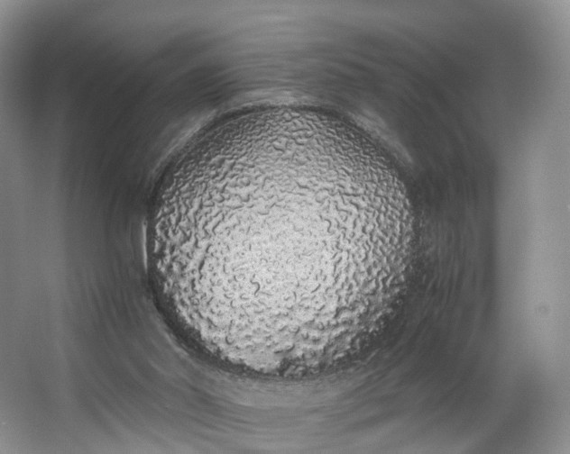 X0000062800014200601051124