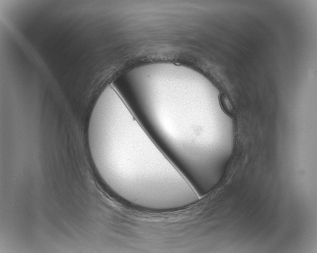 X0000062800017200601051123