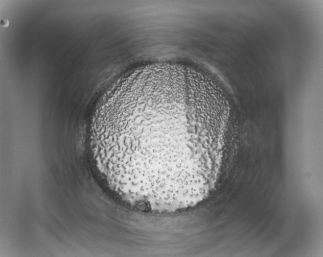 X0000062800018200601051123