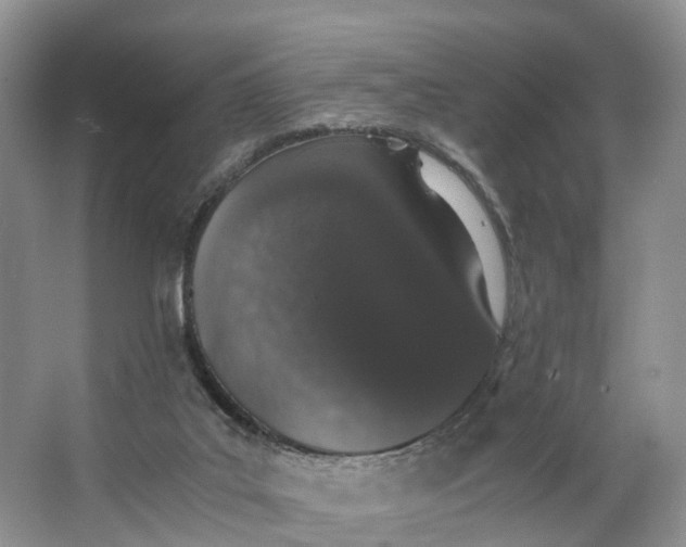 X0000062800019200601051123