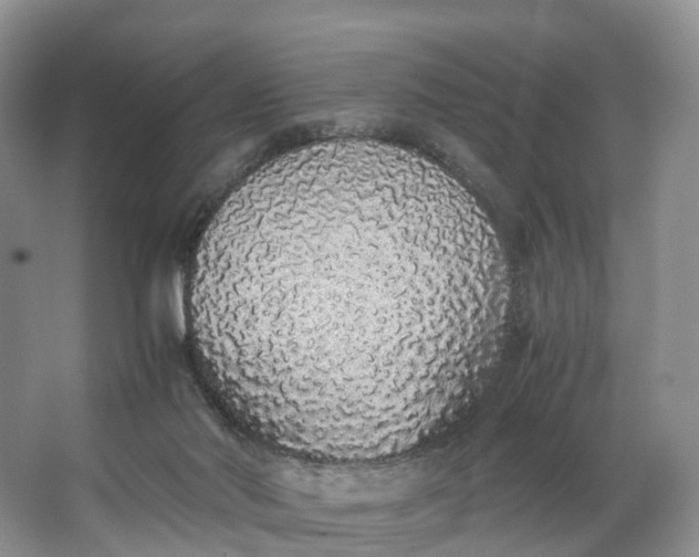 X0000062800022200601051123