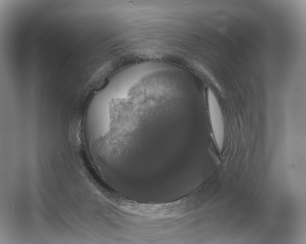 X0000062800023200601051123