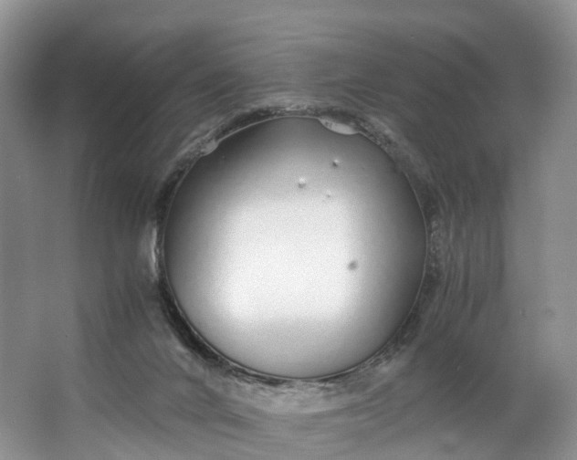 X0000062800024200601051123